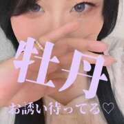 ヒメ日記 2026/06/21 18:57 投稿 ぼたん 宮崎ちゃんこ中央通店