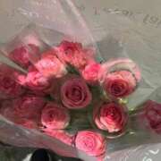 ヒメ日記 2025/11/22 09:25 投稿 こなつ 池袋おかあさん