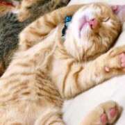 こなつ あとひと枠 池袋おかあさん