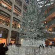 ヒメ日記 2025/12/21 15:34 投稿 こなつ 池袋おかあさん