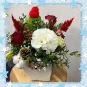 ヒメ日記 2025/12/23 07:34 投稿 こなつ 池袋おかあさん