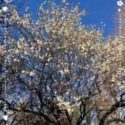 ヒメ日記 2026/01/14 13:34 投稿 こなつ 池袋おかあさん