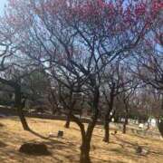 ヒメ日記 2026/02/06 11:24 投稿 こなつ 池袋おかあさん