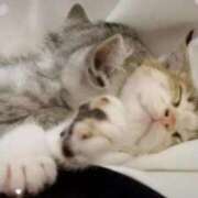 ヒメ日記 2026/02/07 07:54 投稿 こなつ 池袋おかあさん