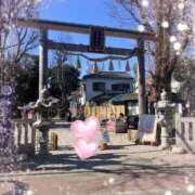 ヒメ日記 2026/02/09 14:30 投稿 こなつ 池袋おかあさん