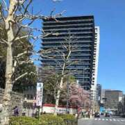 ヒメ日記 2026/03/05 18:44 投稿 こなつ 池袋おかあさん