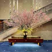 ヒメ日記 2026/03/20 10:54 投稿 こなつ 池袋おかあさん