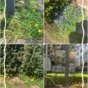 ヒメ日記 2026/04/03 18:04 投稿 こなつ 池袋おかあさん