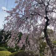 ヒメ日記 2026/04/21 18:04 投稿 こなつ 池袋おかあさん