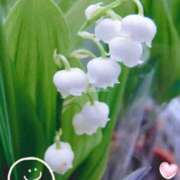 ヒメ日記 2026/05/01 08:19 投稿 こなつ 池袋おかあさん