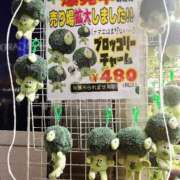 ヒメ日記 2026/06/09 08:44 投稿 こなつ 池袋おかあさん