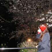 あゆ 出勤！ CLUB DEEP 博多