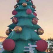 ヒメ日記 2025/11/23 08:25 投稿 わこ 熟女家 東大阪店（布施・長田）