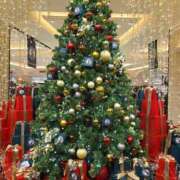 ヒメ日記 2025/12/14 11:00 投稿 わこ 熟女家 東大阪店（布施・長田）