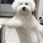 わこ 怖(笑)本当だったら（笑） 熟女家 東大阪店（布施・長田）