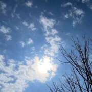 ヒメ日記 2026/04/03 11:55 投稿 わこ 熟女家 東大阪店（布施・長田）