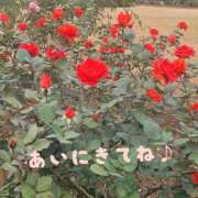 ヒメ日記 2025/11/24 11:00 投稿 香里奈 出会い系人妻ネットワーク 上野〜大塚編