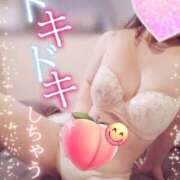 ヒメ日記 2025/11/21 16:36 投稿 乙葉(おとは) 渋谷蘭の会