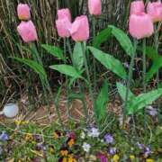 ヒメ日記 2025/11/21 20:55 投稿 乙葉(おとは) 渋谷蘭の会