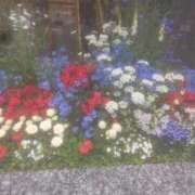 ヒメ日記 2025/11/29 13:05 投稿 乙葉(おとは) 渋谷蘭の会