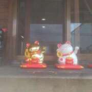 ヒメ日記 2025/11/29 23:35 投稿 乙葉(おとは) 渋谷蘭の会