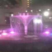 ヒメ日記 2025/12/04 04:35 投稿 乙葉(おとは) 渋谷蘭の会