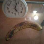 ヒメ日記 2025/12/04 11:25 投稿 乙葉(おとは) 渋谷蘭の会