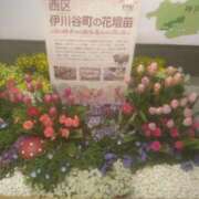 ヒメ日記 2025/12/06 05:55 投稿 乙葉(おとは) 渋谷蘭の会