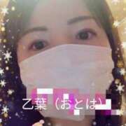 ヒメ日記 2025/12/09 20:55 投稿 乙葉(おとは) 渋谷蘭の会