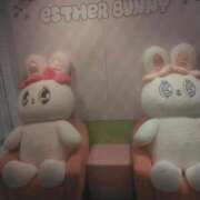 ヒメ日記 2025/12/19 23:35 投稿 乙葉(おとは) 渋谷蘭の会