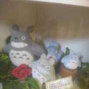 ヒメ日記 2025/12/27 04:35 投稿 乙葉(おとは) 渋谷蘭の会