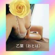 ヒメ日記 2025/12/29 20:55 投稿 乙葉(おとは) 渋谷蘭の会