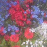 ヒメ日記 2026/01/19 01:35 投稿 乙葉(おとは) 渋谷蘭の会