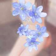 ヒメ日記 2025/12/07 14:26 投稿 原(はら)先生 人妻城 横浜本店