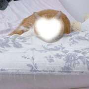 ヒメ日記 2026/03/19 22:03 投稿 【よる】小柄で美形♪ バブルリングプラス