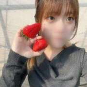 ヒメ日記 2026/02/23 08:06 投稿 なち カルテ