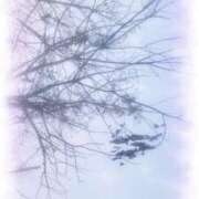 まなみ 本日は🙇🏻‍♀️" ビーナス(宇都宮)