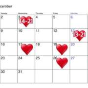 ヒメ日記 2025/11/29 22:18 投稿 りほ フォーシーズン