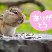 ヒメ日記 2026/01/22 21:28 投稿 りほ フォーシーズン