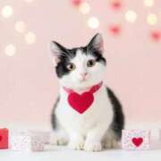 ヒメ日記 2026/02/14 02:08 投稿 りほ フォーシーズン