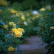 ヒメ日記 2026/02/19 01:28 投稿 りほ フォーシーズン