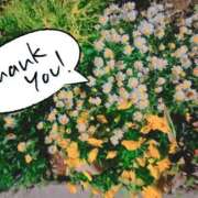 ヒメ日記 2026/02/27 11:48 投稿 りほ フォーシーズン