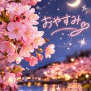 ヒメ日記 2026/03/16 01:28 投稿 りほ フォーシーズン