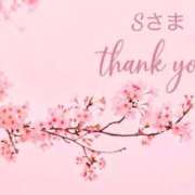 ヒメ日記 2026/03/30 23:18 投稿 りほ フォーシーズン