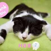 ヒメ日記 2026/04/17 00:08 投稿 りほ フォーシーズン