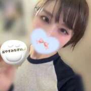 りほ おやすみなさいと、6月の予定をすこしだけ🌸 フォーシーズン