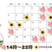 りほ 今週末のお報せです🎐🍉 フォーシーズン