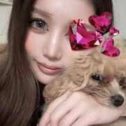 ヒメ日記 2025/12/11 04:27 投稿 心花/ときめき・看板候補 Platinum Legend(プラチナムレジェンド)