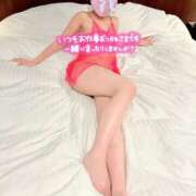 ヒメ日記 2026/02/06 21:25 投稿 りこ♡新人 密着アロマにゃんにゃんSPA