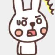 せり 悲しいお知らせ😭 リアル 日本橋店